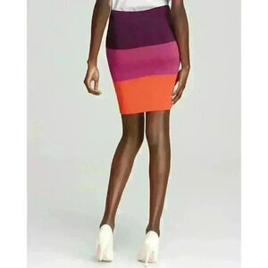 BCBG Scarlett Color Block Skirt